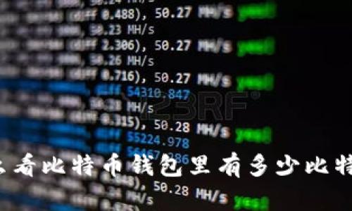怎么看比特币钱包里有多少比特币？