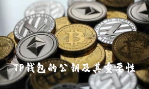 TP钱包的公钥及其重要性