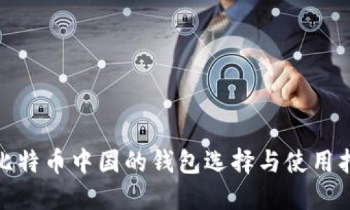 : 比特币中国的钱包选择与使用指南