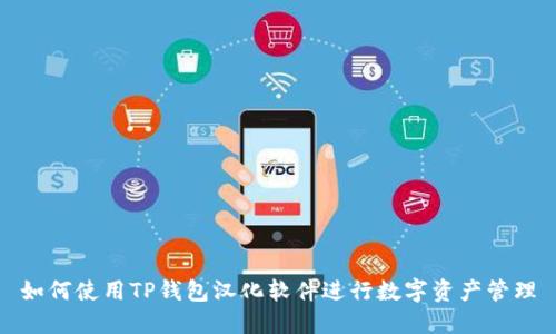 如何使用TP钱包汉化软件进行数字资产管理