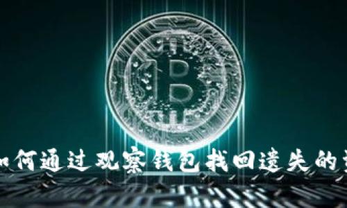 TP如何通过观察钱包找回遗失的资产
