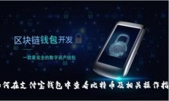 如何在支付宝钱包中查看
