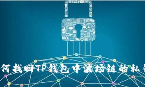 如何找回TP钱包中波场链的私钥?