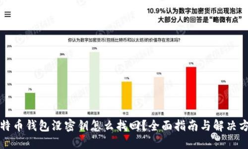 比特币钱包没密钥怎么找回？全面指南与解决方案