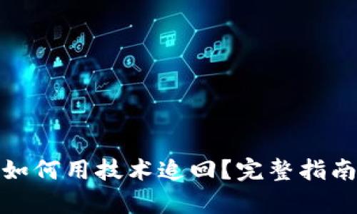 tp钱包被盗如何用技术追回？完整指南与解决方案