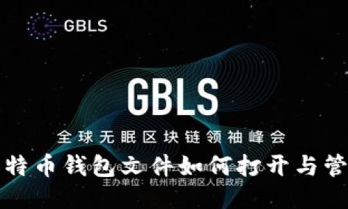 比特币钱包文件如何打开与管理