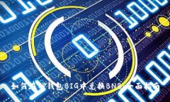 如何在TP钱包BIG中兑换BN