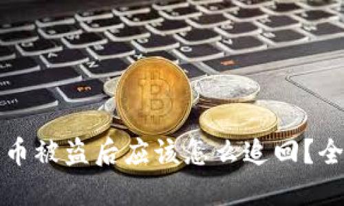 TP钱包币被盗后应该怎么追回？全面指南