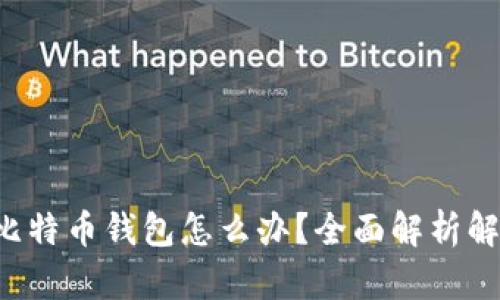 找不到比特币钱包怎么办？全面解析解决方案！