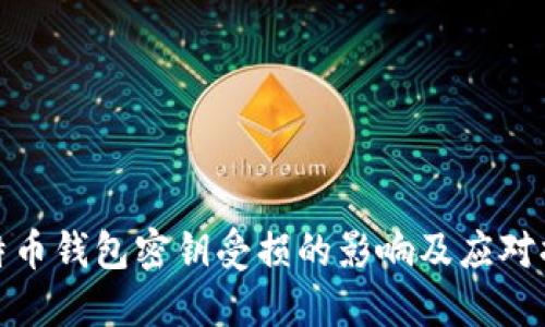 比特币钱包密钥受损的影响及应对措施