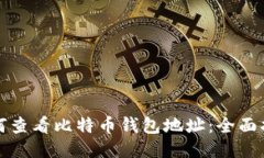 如何查看比特币钱包地址