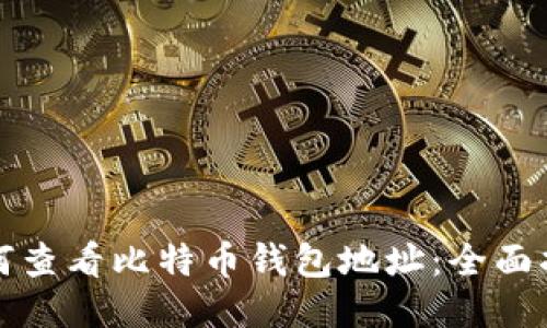 如何查看比特币钱包地址：全面指南