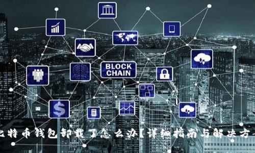 比特币钱包卸载了怎么办？详细指南与解决方案