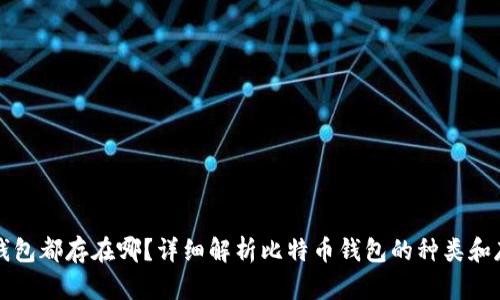 比特币钱包都存在哪？详细解析比特币钱包的种类和存储方式