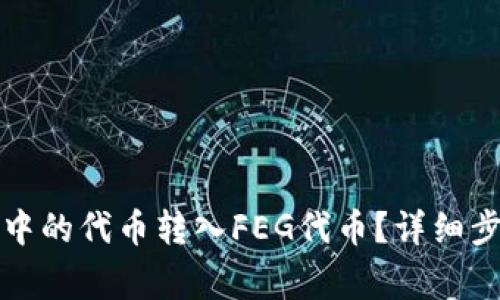 如何将TP钱包中的代币转入FEG代币？详细步骤与注意事项