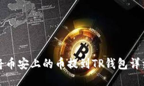 如何将币安上的币提到TP钱包详细指南