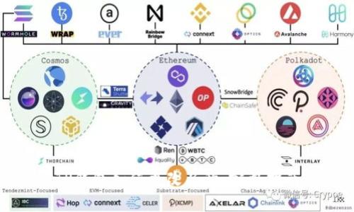 TP钱包如何更改名称：完整指南
