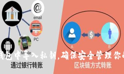如何在TP钱包中导入私钥，确保安全管理你的数字资产