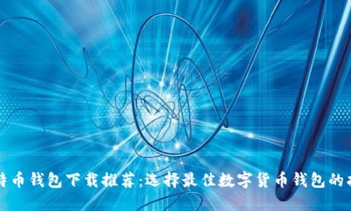 比特币钱包下载推荐：选择最佳数字货币钱包的指南