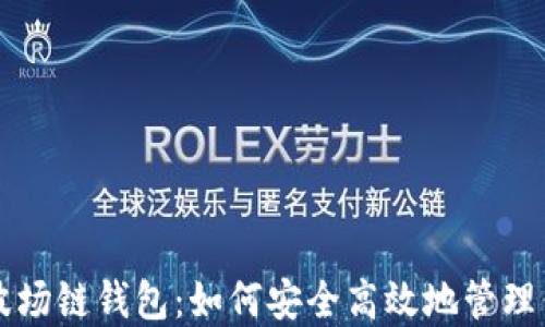 
全面解读TP波场链钱包：如何安全高效地管理你的数字资产