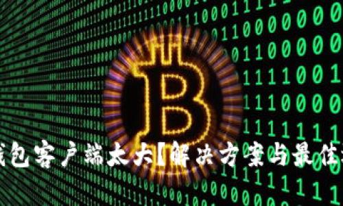 比特币钱包客户端太大？解决方案与最佳选择推荐