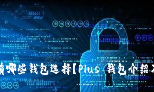 比特币有哪些钱包选择？Plus 钱包介绍及其优势