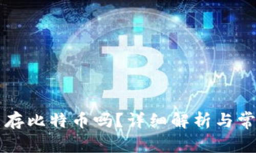 电子钱包能存比特币吗？详细解析与常见问题解答