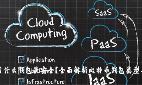 比特币用什么钱包最安全？全面解析比特币钱包类型与安全性