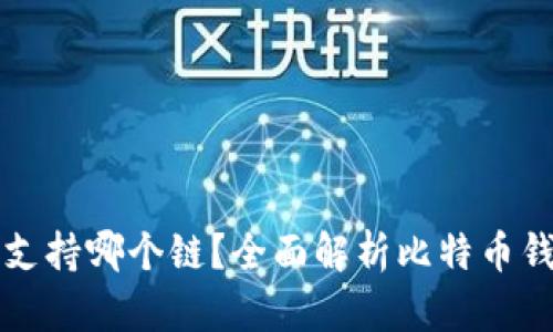 货币钱包比特币支持哪个链？全面解析比特币钱包的链支持情况
