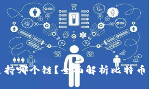 货币钱包比特币支持哪个链？全面解析比特币钱包的链支持情况