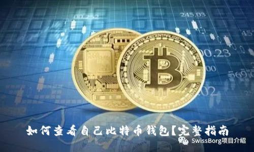 如何查看自己比特币钱包？完整指南