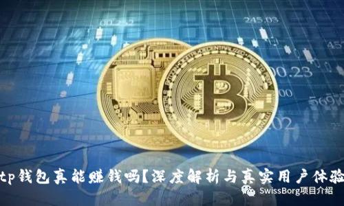 tp钱包真能赚钱吗？深度解析与真实用户体验