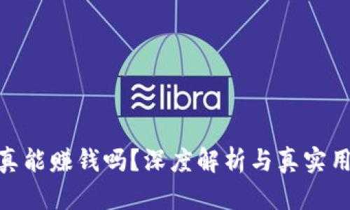 tp钱包真能赚钱吗？深度解析与真实用户体验
