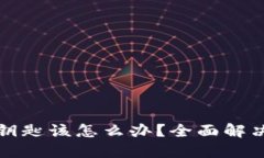 TP钱包忘记钥匙该怎么办？