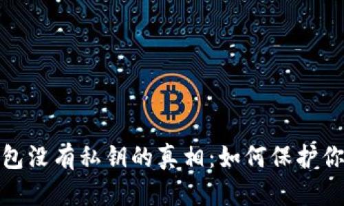 : 比特币钱包没有私钥的真相：如何保护你的数字资产