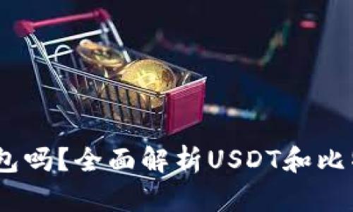 USDT是用比特币钱包吗？全面解析USDT和比特币的钱包使用关系