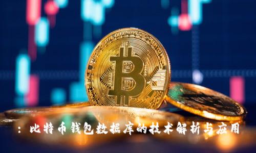 : 比特币钱包数据库的技术解析与应用