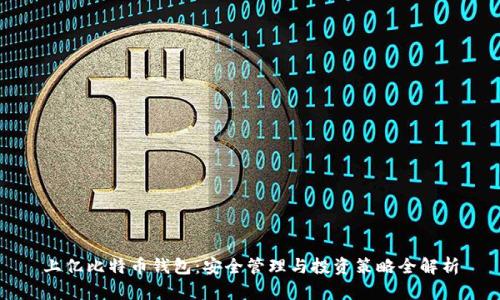 上亿比特币钱包：安全管理与投资策略全解析