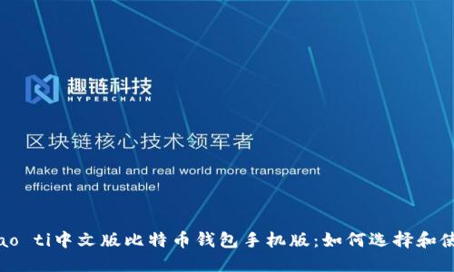 biao ti中文版比特币钱包手机版：如何选择和使用