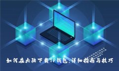 如何在大陆下载TP钱包：详