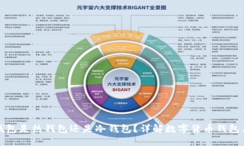 TP钱包是热钱包还是冷钱包？详解数字货币钱包类型