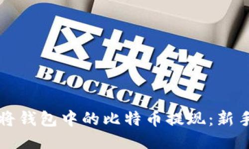 如何将钱包中的比特币提现：新手指南