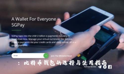 : 比特币钱包的选择与使用指南