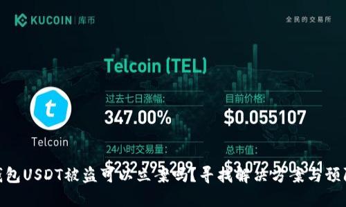 : TP钱包USDT被盗可以立案吗？寻找解决方案与预防措施