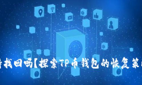 TP币钱包支持找回吗？探索TP币钱包的恢复策略及常见问题
