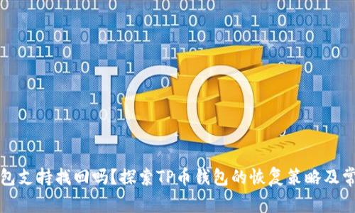 TP币钱包支持找回吗？探索TP币钱包的恢复策略及常见问题