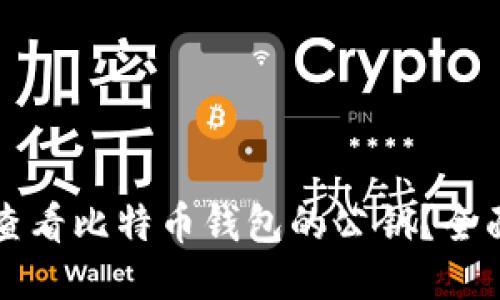 如何查看比特币钱包的公钥？全面指南