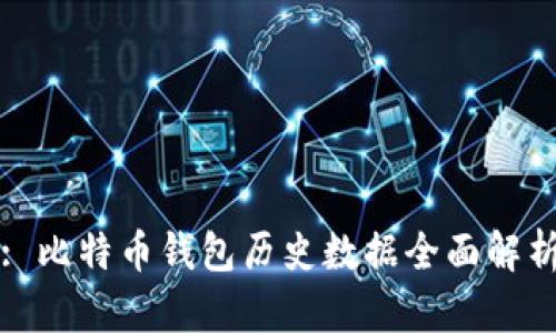 : 比特币钱包历史数据全面解析
