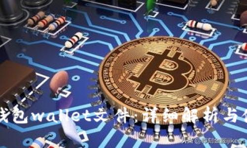 比特币钱包wallet文件：详细解析与使用指南