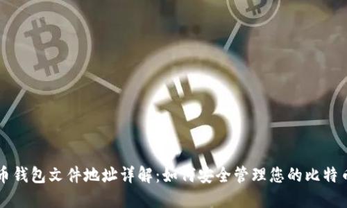 比特币钱包文件地址详解：如何安全管理您的比特币资产